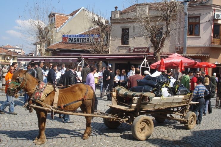 Ekoloji Haftası Şadırvan Temizliğiyle Başladı