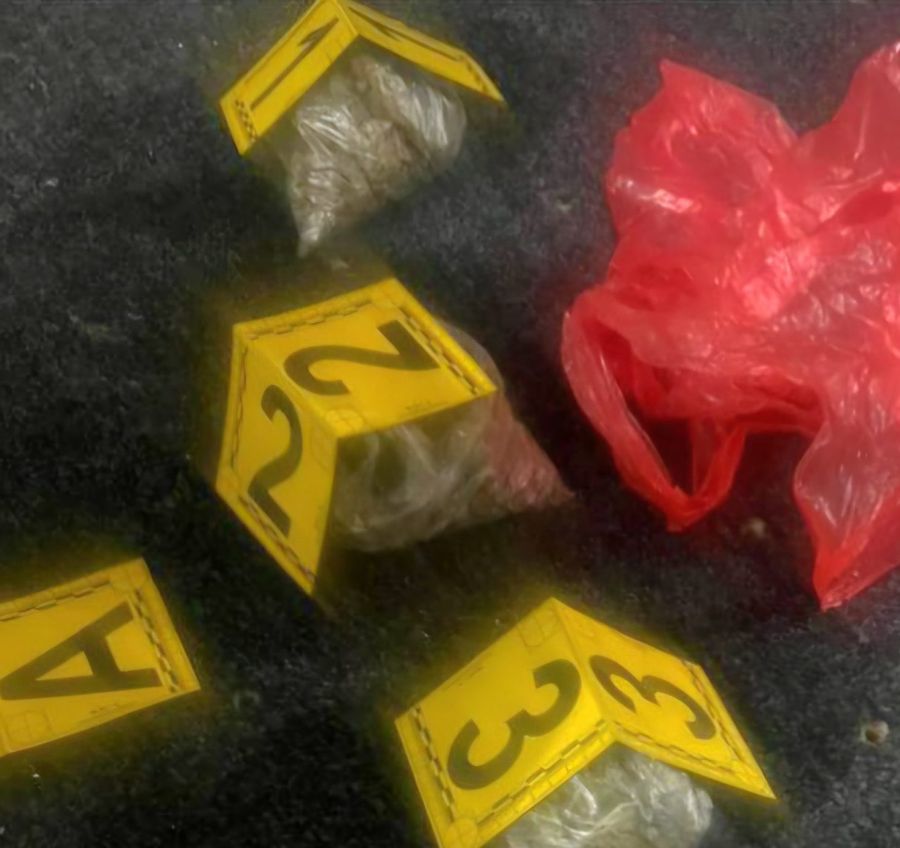 Polis, 9 Kg Uyuşturucu Madde Ele Geçirdi