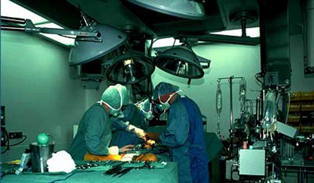 Doktor Hajrullah Binakaj Tutuklandı