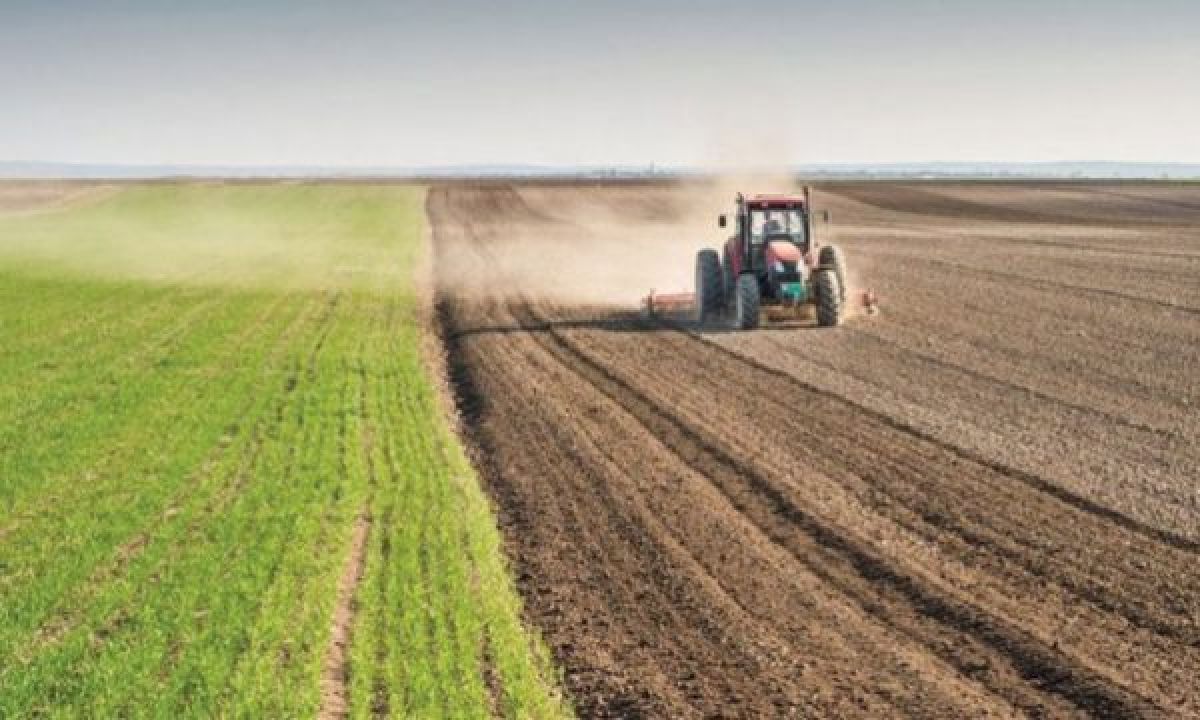 Çiftçilere  Destek Olarak 6.2 Milyon Euro  Ödendi