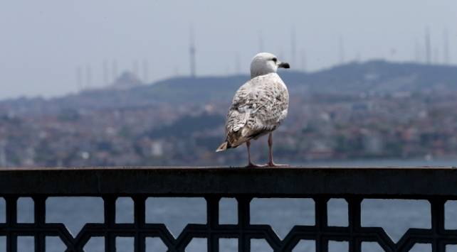Türkiye buruk bir bayram sabahına uyanacak