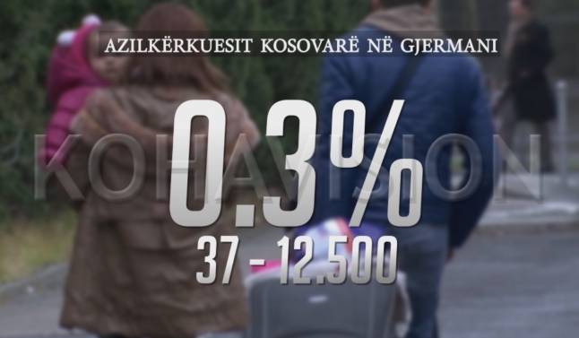 Almanya, 12.500 Kişiden Sadece 37-sine Sığınma Hakkı Tanıdı