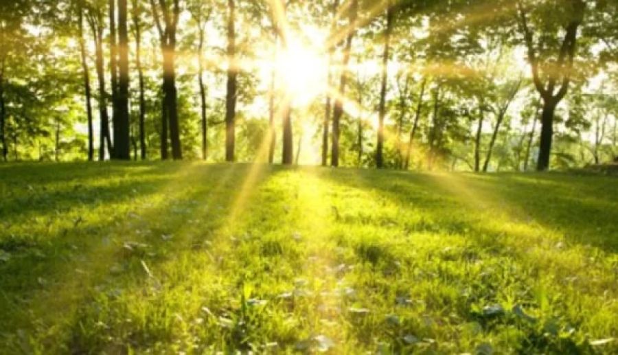 Hava Güneşli Sıcaklıklar 28°C’ye Kadar Yükseliyor