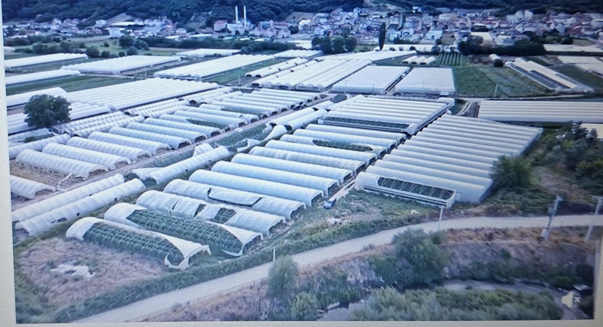 Mamuşa’da Fırtına Sonrası Zarar Tespit Çalışmaları Başlıyor