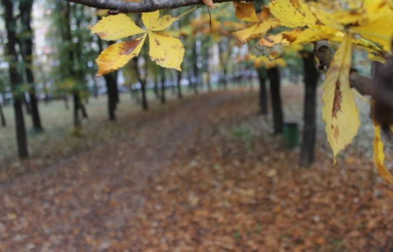 Bu Hafta Hava Açık ve Parçalı Bulutlu