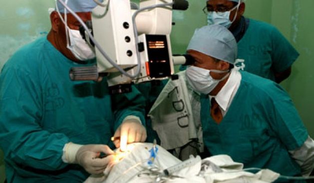 Hükümet, Organ Nakli Yasası İçin Hazırlanıyor
