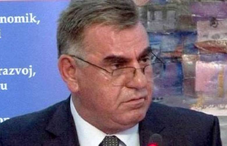Gani Koci, Ekonomi Kalkınma Bakan Yardımcısı