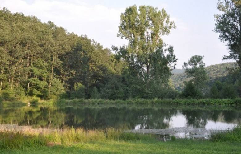 Av Sezonu 12 Şubat'ta Sona Eriyor