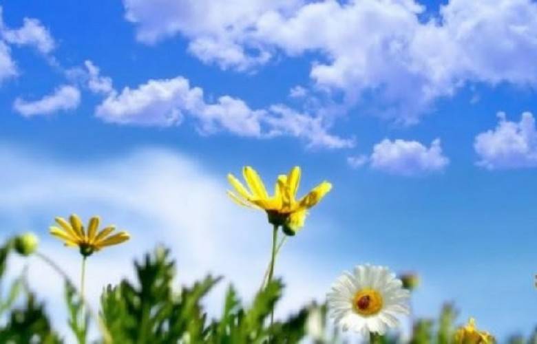 Hava Sıcak ve Güneşli