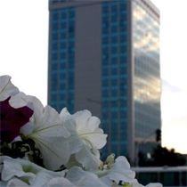 Hükümet, Sırpların Bulunduğu Otobüse Yapılan Saldırıyı Kınadı