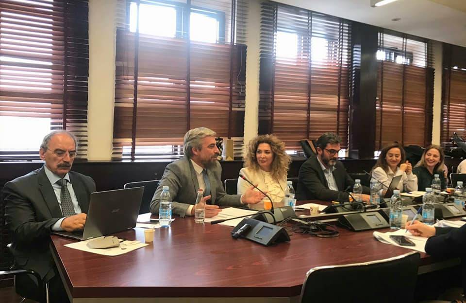 Eğitim Komisyonunda Milletvekili Kervan Türkçe Eğitim İçin Bazı Taleplerde Bulundu