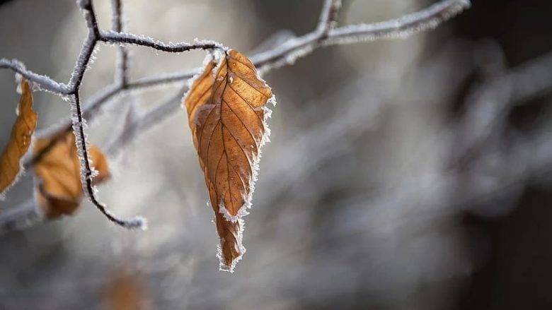 Hava Bulutlu, Önümüzdeki Haftadan İtibaren Daha Sıcak