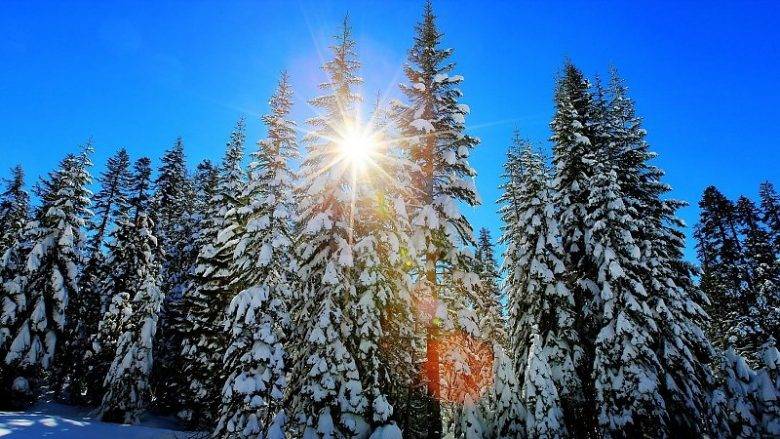 Hava Bu Hafta Bulutlu, Uzun Aralıklarla Güneşli