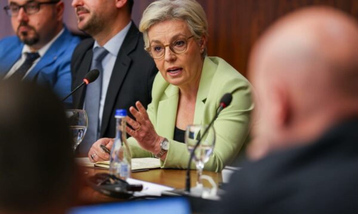 Gërvalla: Gurbetçiler İçin 3 Milyon Euro Yeşil Kart Ücreti Devlet Tarafından Karşılanacak
