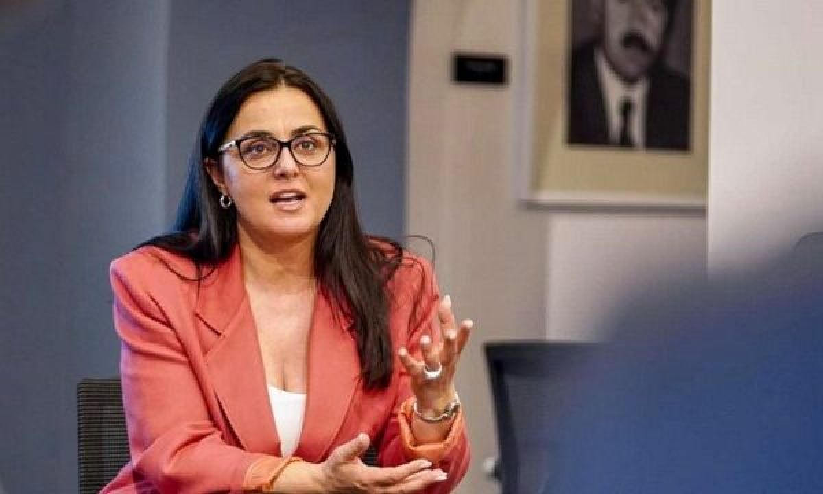LDK,  İmkanlar Ölçüsünde  Devlet Kurumlarının Oluşturulmasına Katkı Sunmaya Hazır
