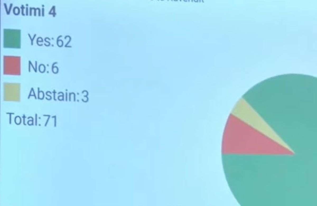 Tanja Vujović, Kosova Meclisi Başkan Yardımcılığına Seçildi