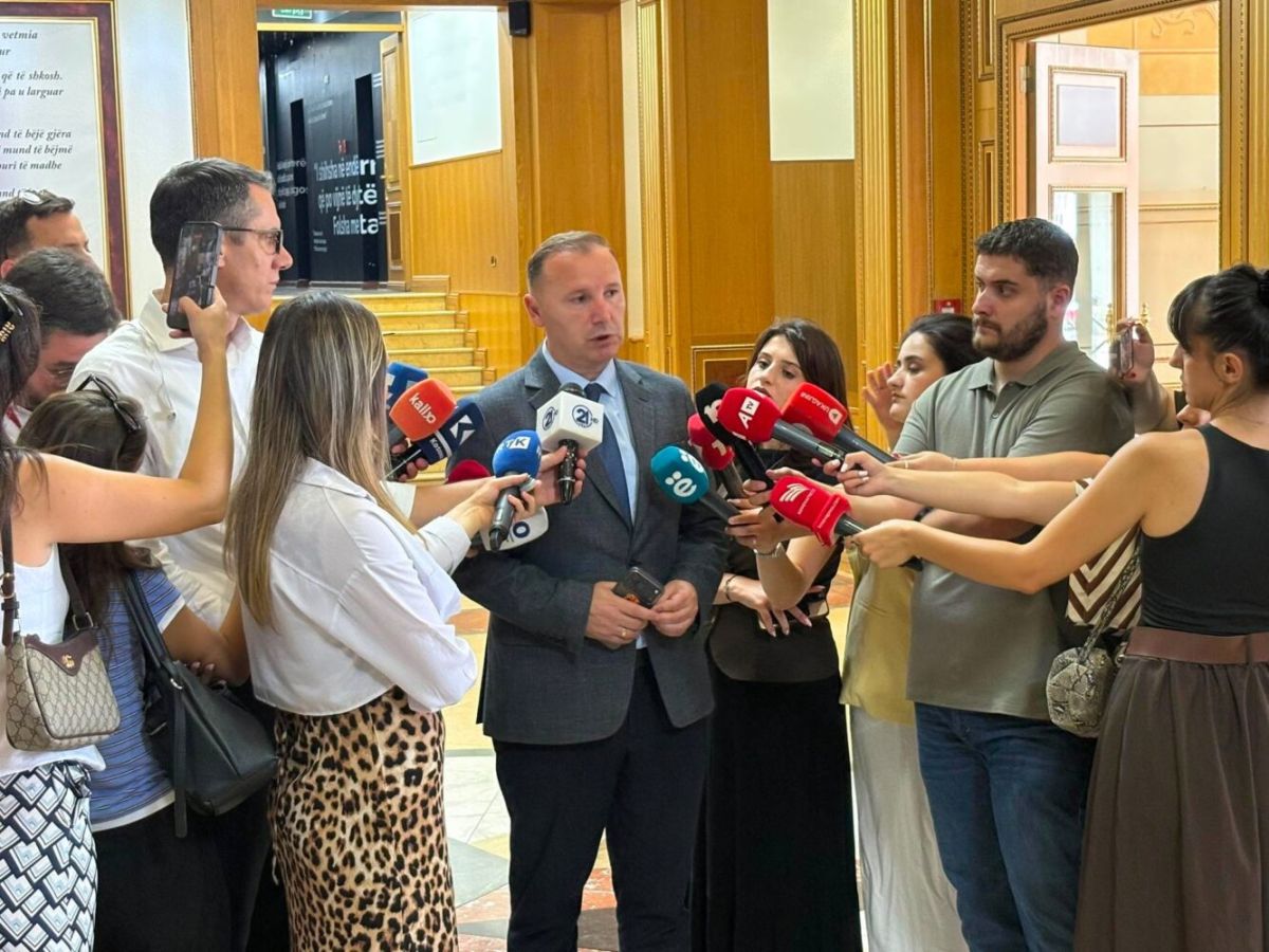 Zemaj: Hiçbir Senaryonun Parçası Değiliz