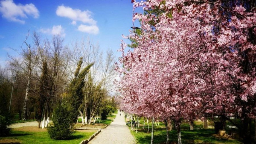 Bugün Hava Sıcaklıkları 27 Dereceye Kadar Çıkacak