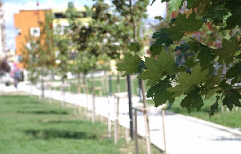 Hava Bugün Sıcak,  Yarın İtibariyle hava Soğuyor ve Yağmur Bekleniyor