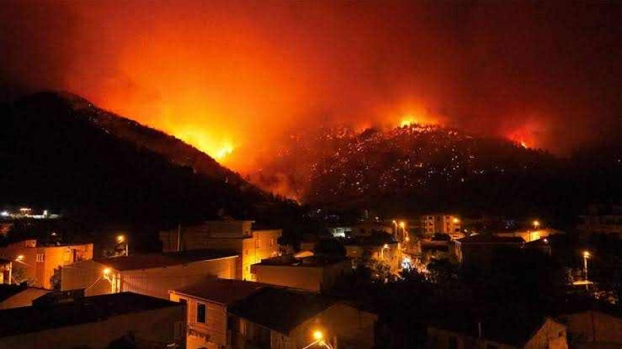 KOTGEP, Yanan Toprağa Kardeşlik Dikti