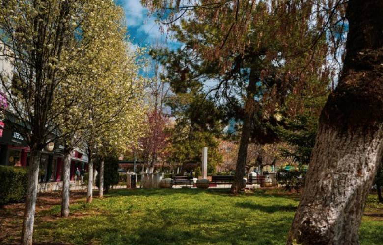 5 Haziran Dünya Çevre Günü