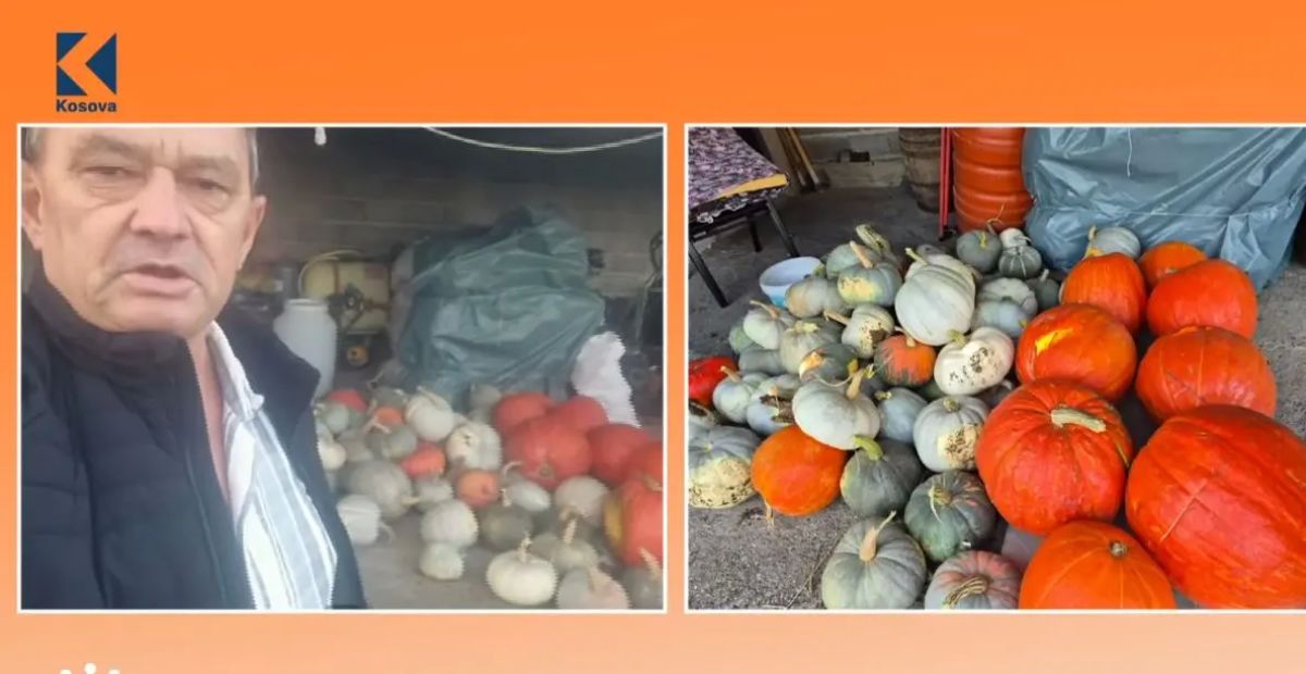 Kosova’da 32 Kilogramı Aşkın Dev Balkabağı Yetiştirildi
