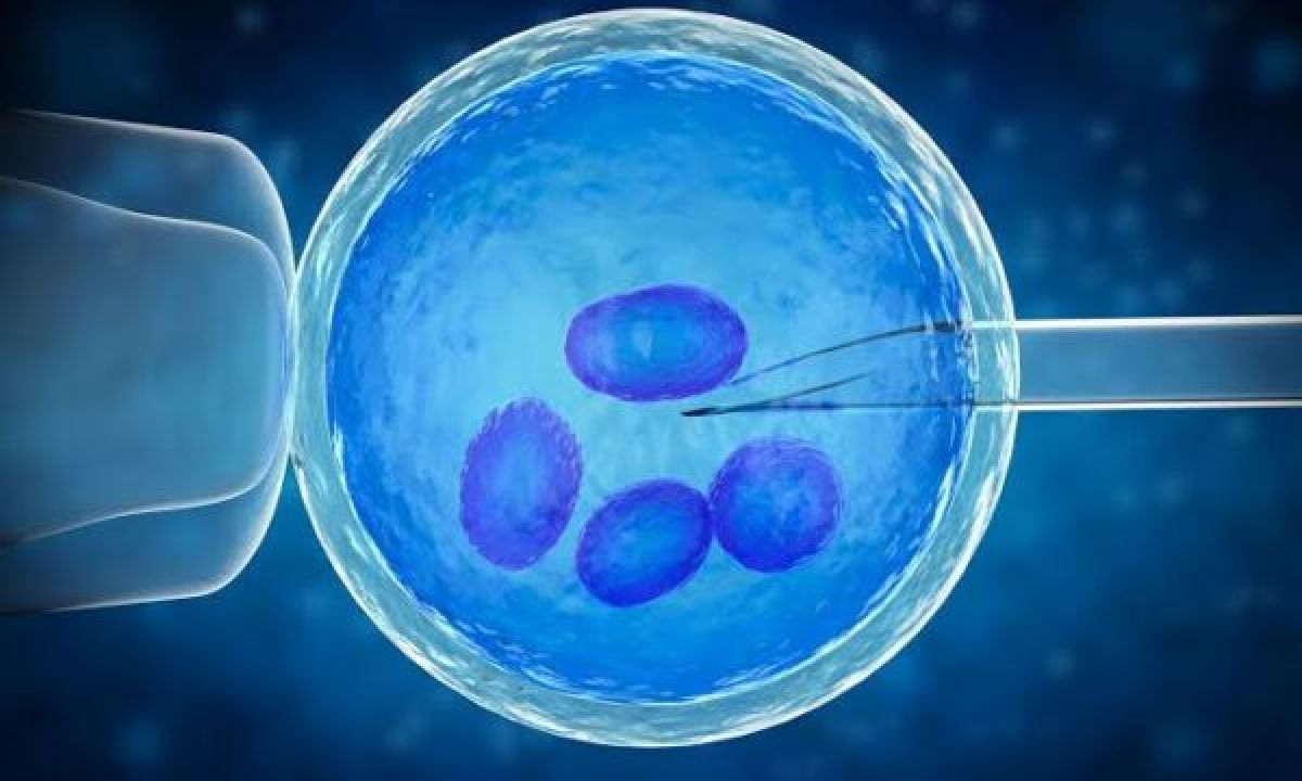 Kosova'da Tüp Bebek Tedavisine İlgi Artıyor