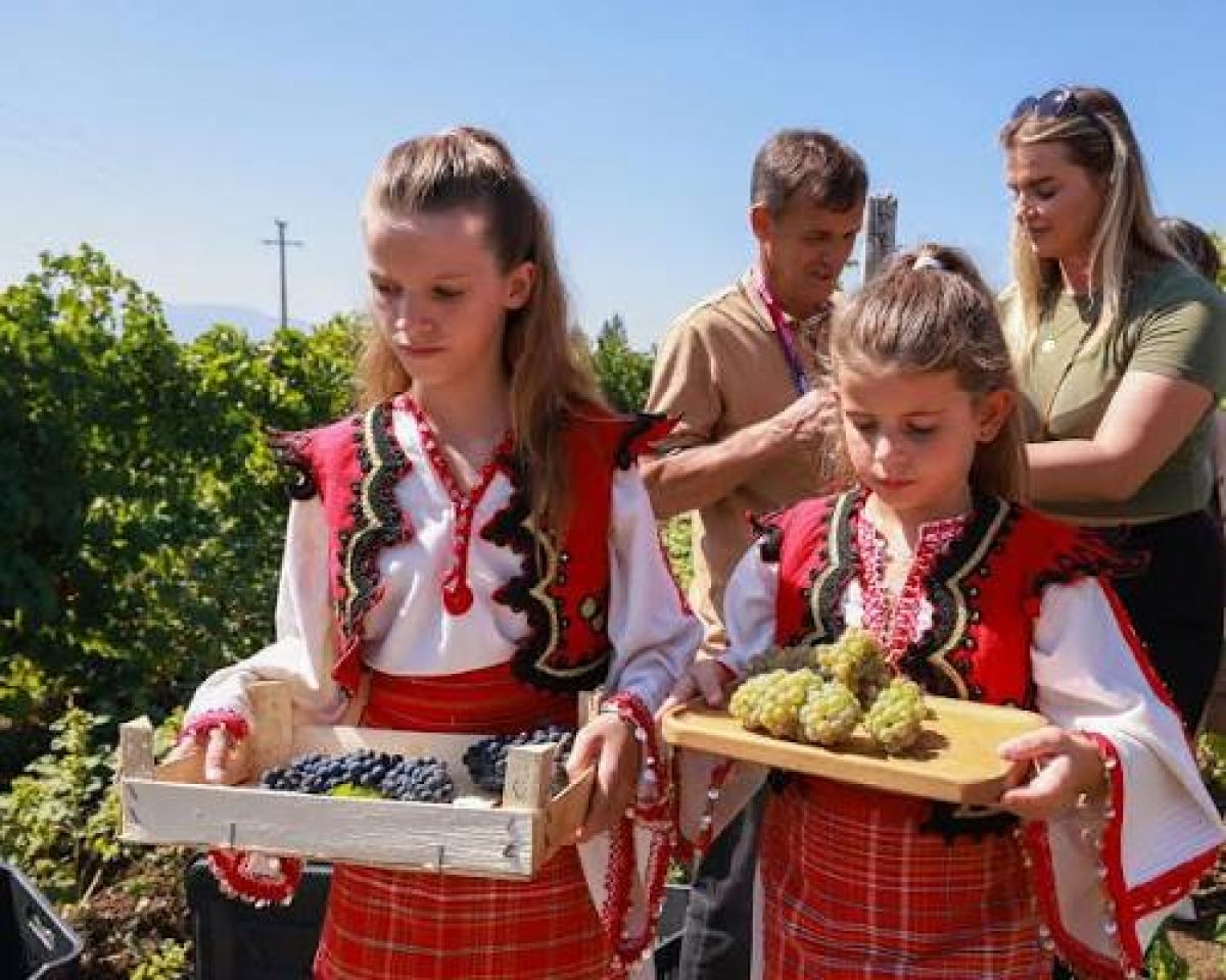 Rahovça’da Bağ Bozumu Başladı: Hardh Fest 2026 Üç Gün Sürecek