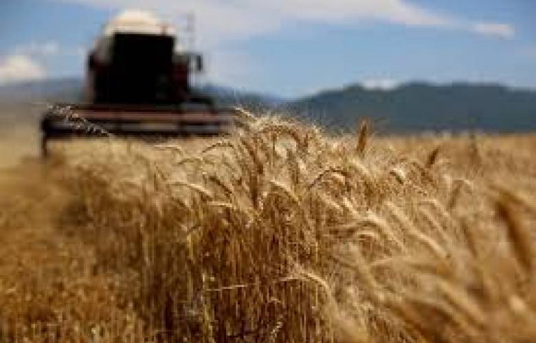 Kosova, Yerli Üretimle Buğday İhtiyacının Yarısını Bile Karşılayamıyor
