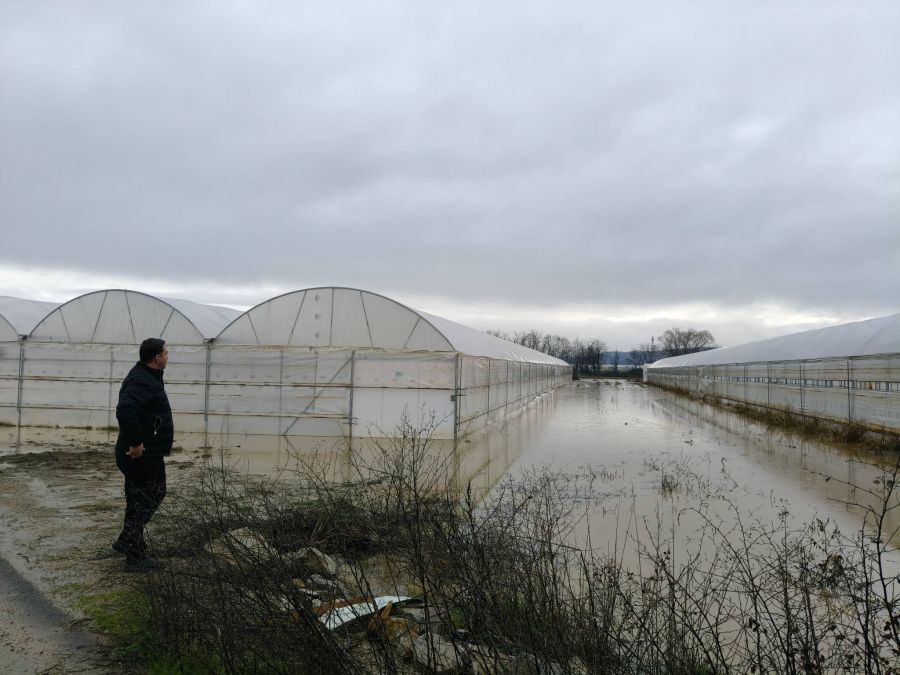 Sellerden Mamuşa Tarım Arazileri de Zarar Gördü