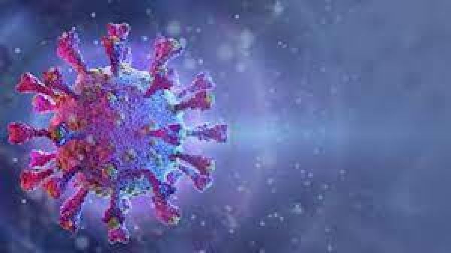Corona virüsünde yeni varyant paniği: Arcturus varyantı vaka sayısını artırdı