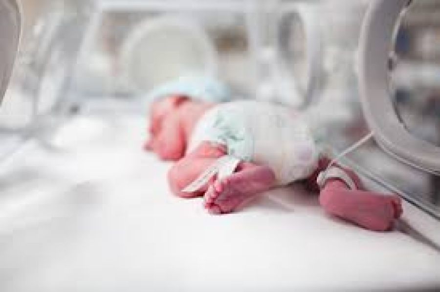 Geçen Yıl 865 Bebek Erken Doğdu