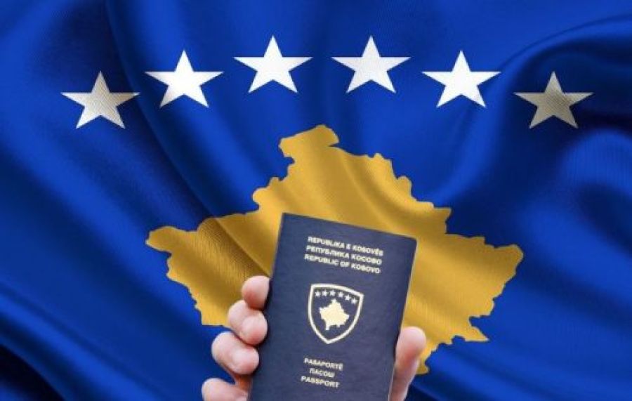 Vize Serbestisi Katkıları Tartışılıyor
