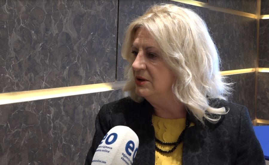 Birlik Tüzüğü, Kosova’nın İşlevselliğini Etkileyecek