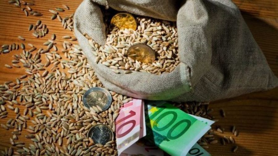 Tarım Bakanlığı: 2023 Kırsal Kalkınma Programı İçin 24.6 Milyon Euro Kaynak Ayrıldı