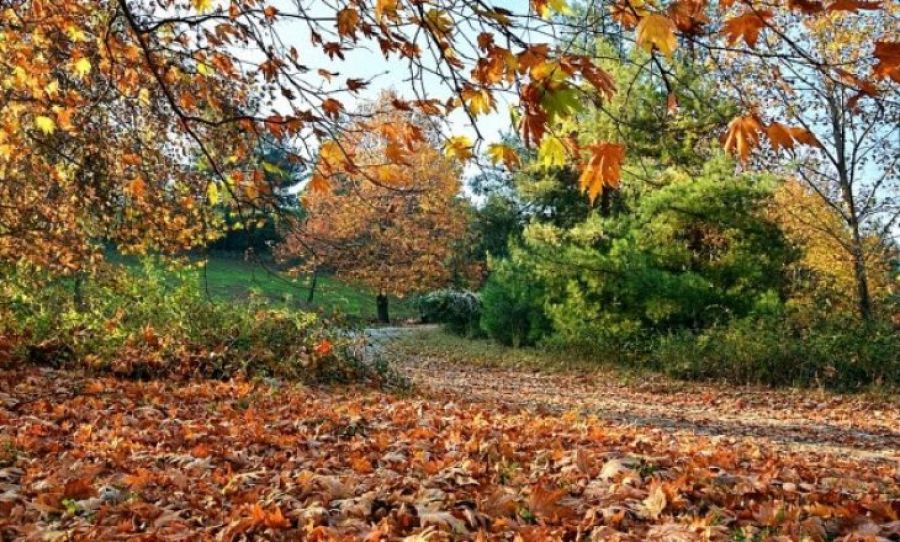 Hava Serinlendi, Parçalı Bulutlu ve Güneşli Bir Hafta