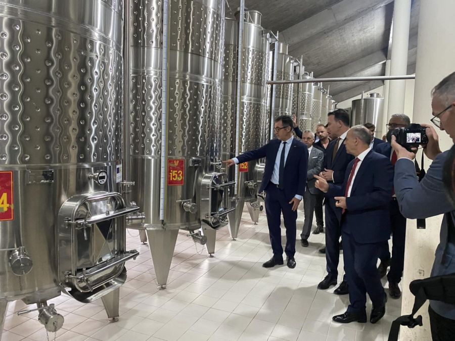 Almanya Bakanı Özdemir,  Kosova'da Şarap Üretimiyle İlgileniyor