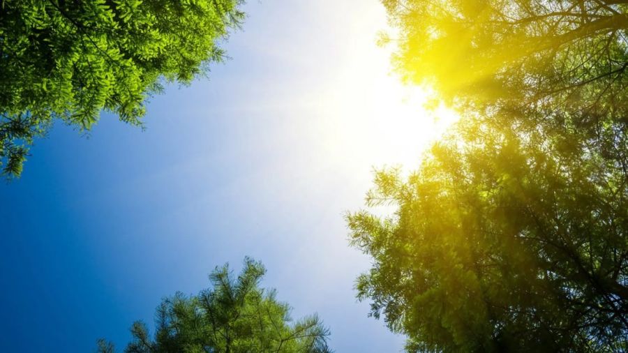 Hava 26 Dereceye Kadar Sıcak Oacak