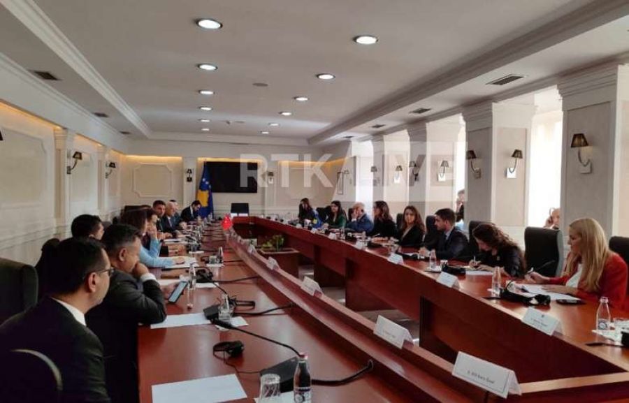 TBMM Heyeti, Dışişleri Komisyonu’nda