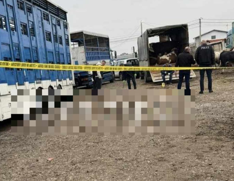 Prizren’de Hayvan Pazarında Patlama: 9 Yaralı