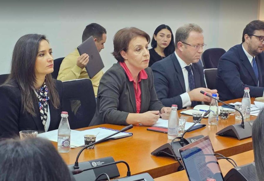 Gervalla: Büyükelçilik Binaları Satın Almakla Bütçeden Tasarruf Edeceğiz