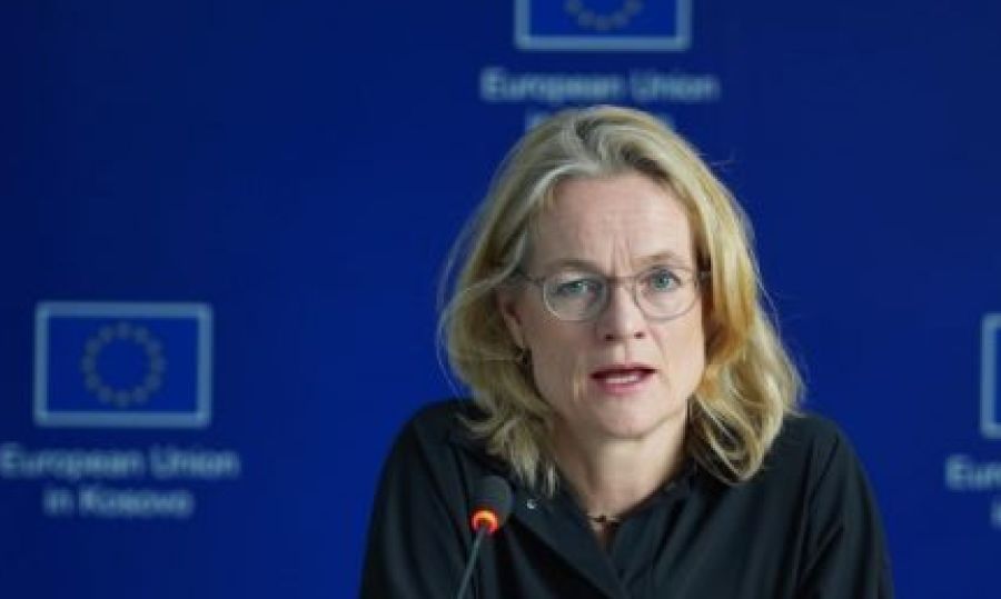 Von Cramon: Sırbistan'daki Seçimler Birçok Usulsüzlükle Gerçekleşti