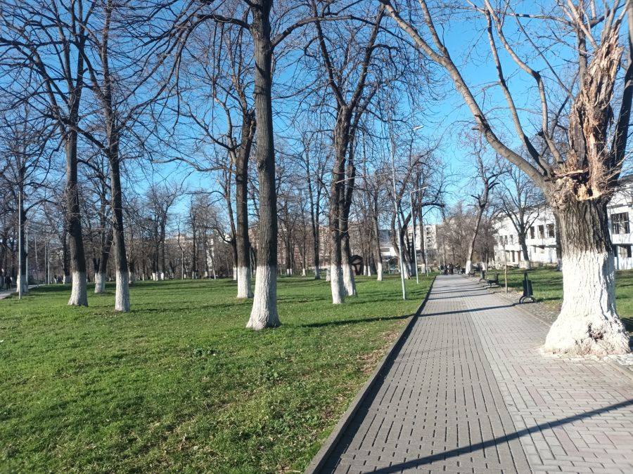 Hava Güneşli, Sıcaklık 7 Dereceye Kadar