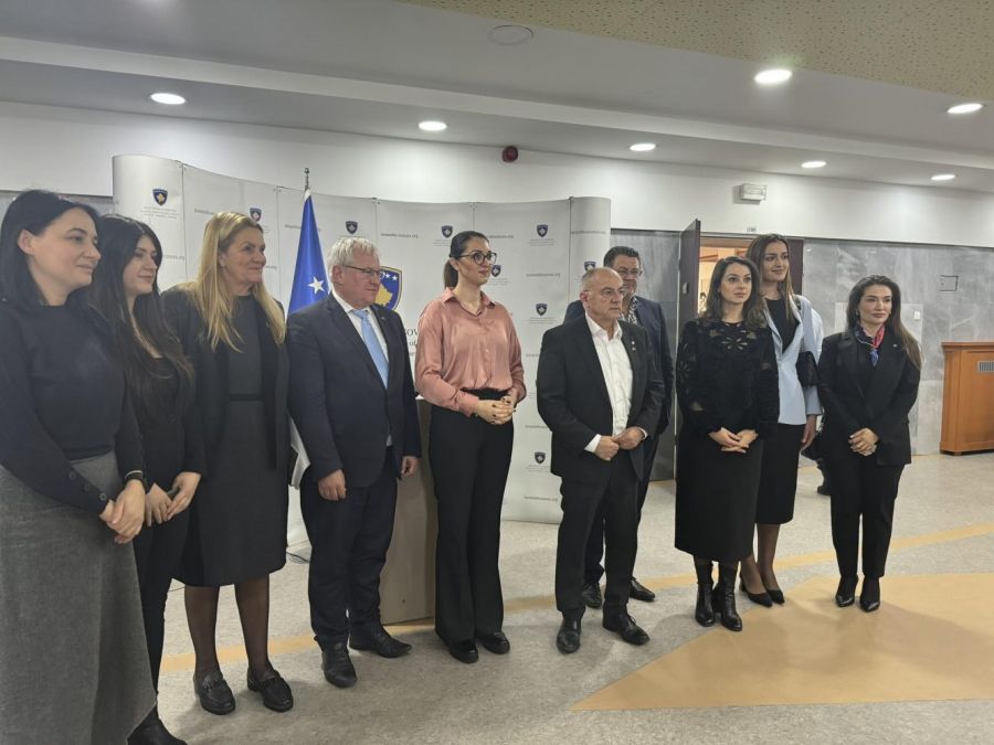 Milletvekillerimiz Alman Meslektaşlarıyla  Batı Balkanlar'da Güvenliği Görüştü
