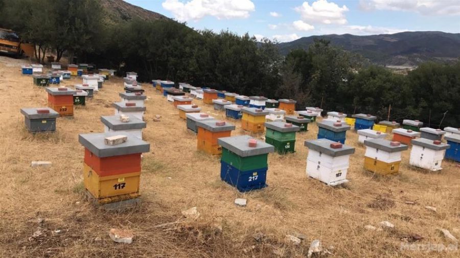Parteş’te 220 Adet Arı Kovanı Zarar Gördü