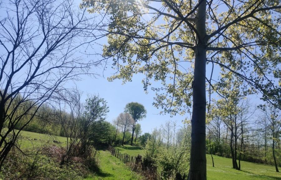 Bugün Hava Güneşli ve Yer Yer Parçalı Bulutlu