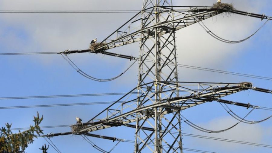 GAP: Enerji Tüketimi Savaş Sonrası En Yüksek Seviyede, 1500 MWh’a Kadar Ulaştı