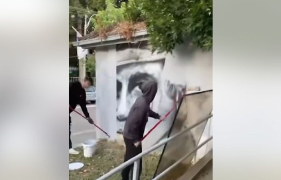 Ülkenin Kuzeyinde Kamu Alanları Temizlendi, Ayrımcı Mesajlara İzin Yok
