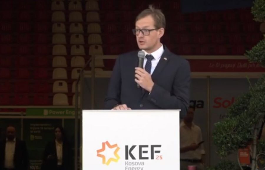 Almanya Yetkilisinden Anayasa ve Hükümet Uyarısı