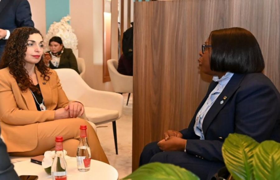 Osmani, Birleşik Arap Emirlikleri’nde Mozambik Başbakanı ile Görüştü